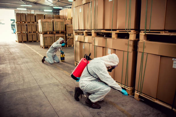 Best Ant Control Services  in Hilbert, WI