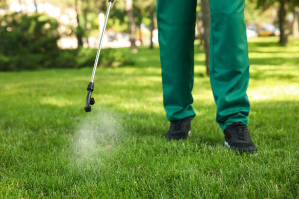 Best Ant Control Services  in Hilbert, WI
