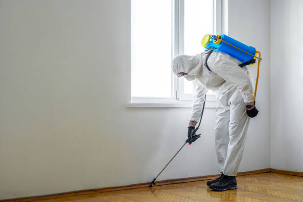 Best Cockroach Control Services  in Hilbert, WI