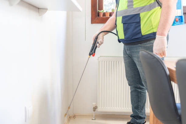 Professional Pest Control in Hilbert, WI