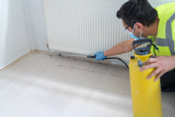 Best Exterminator Services  in Hilbert, WI