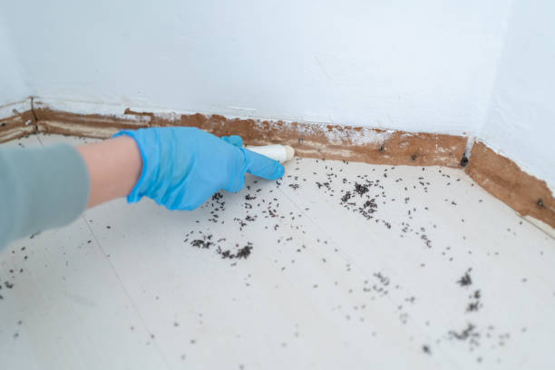 Best Wildlife Control Services  in Hilbert, WI