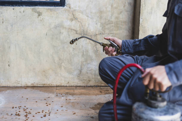 Best Mosquito Control Services  in Hilbert, WI